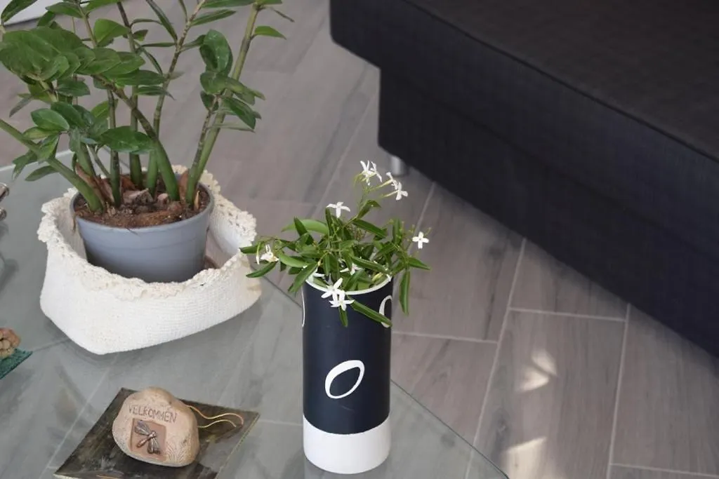 Moon - Camere Con Bagno Privato Su Forti إيطاليا