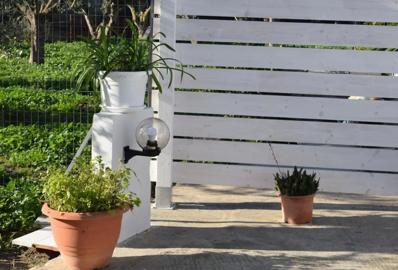 Moon - Camere Con Bagno Privato Su Forti 0*,